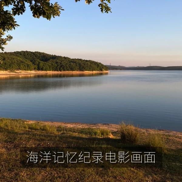 海洋记忆纪录电影画面
